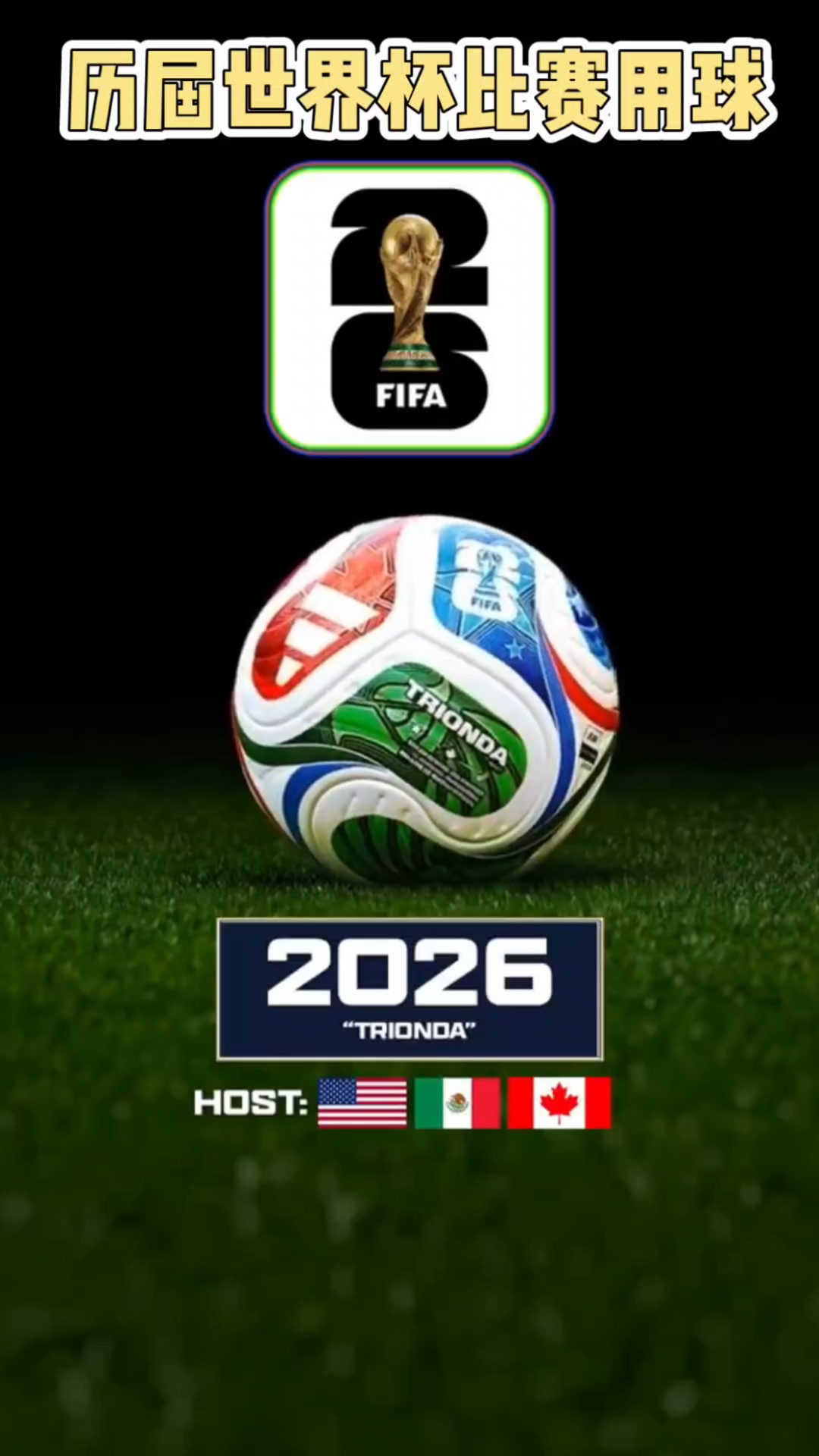 选择决定效 选择决定效